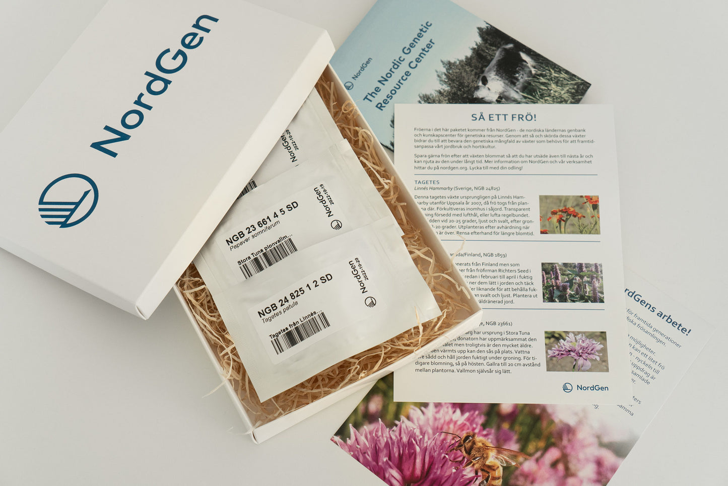 Gåvoask med tre sorters nordiska grönsaker 2025